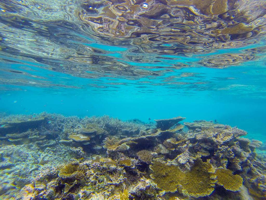 ホテル Lily Rest Maldives マーフシ エクステリア 写真