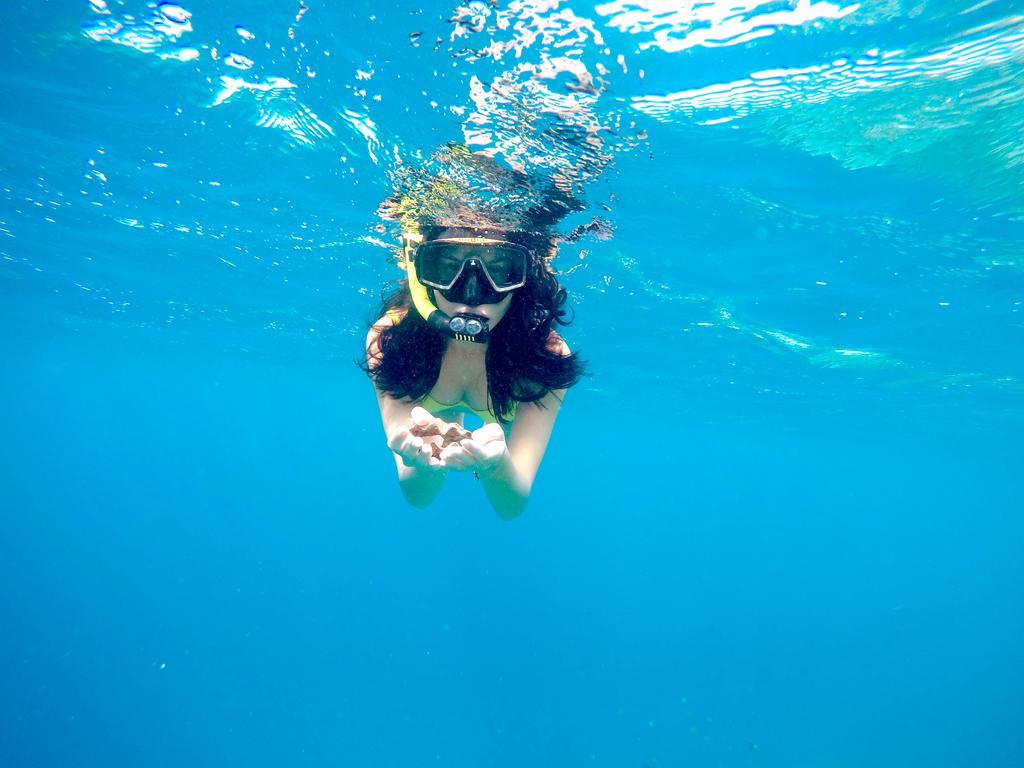 ホテル Lily Rest Maldives マーフシ エクステリア 写真