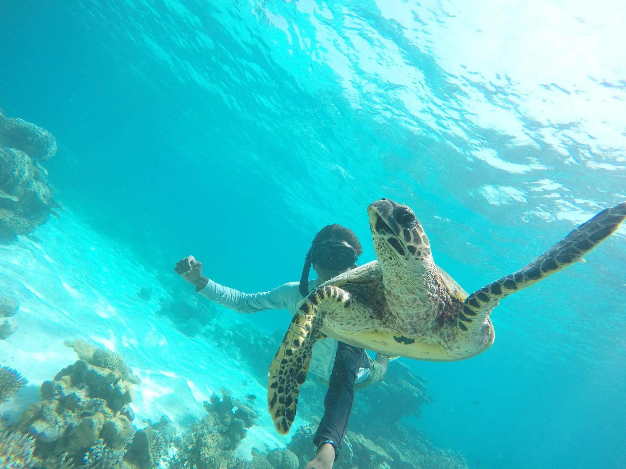 ホテル Lily Rest Maldives マーフシ エクステリア 写真